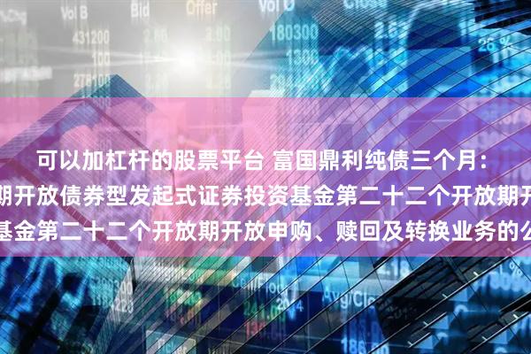 可以加杠杆的股票平台 富国鼎利纯债三个月: 富国鼎利纯债三个月定期开放债券型发起式证券投资基金第二十二个开放期开放申购、赎回及转换业务的公告