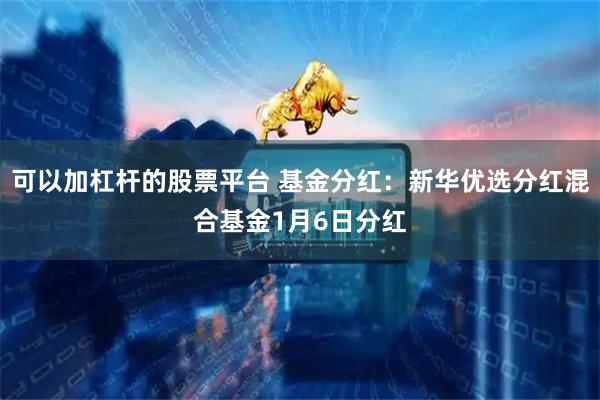 可以加杠杆的股票平台 基金分红：新华优选分红混合基金1月6日分红